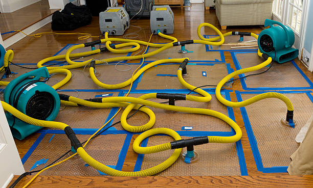 Professional Water Damage Restoration technician working in Red Oak, GA